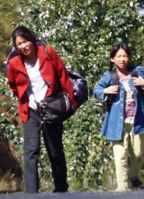 芦川芽依